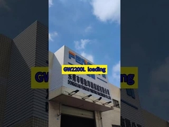carico GW2200L
